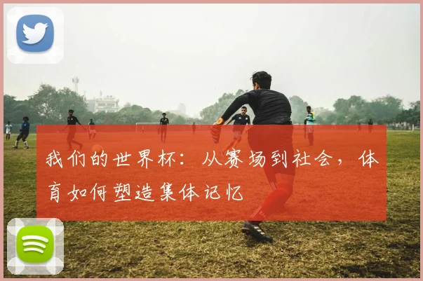 我们的世界杯：从赛场到社会，体育如何塑造集体记忆