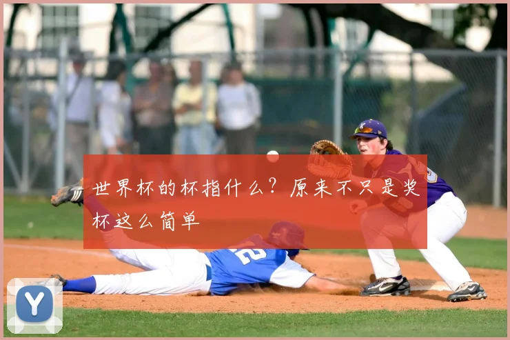 世界杯的杯指什么？原来不只是奖杯这么简单