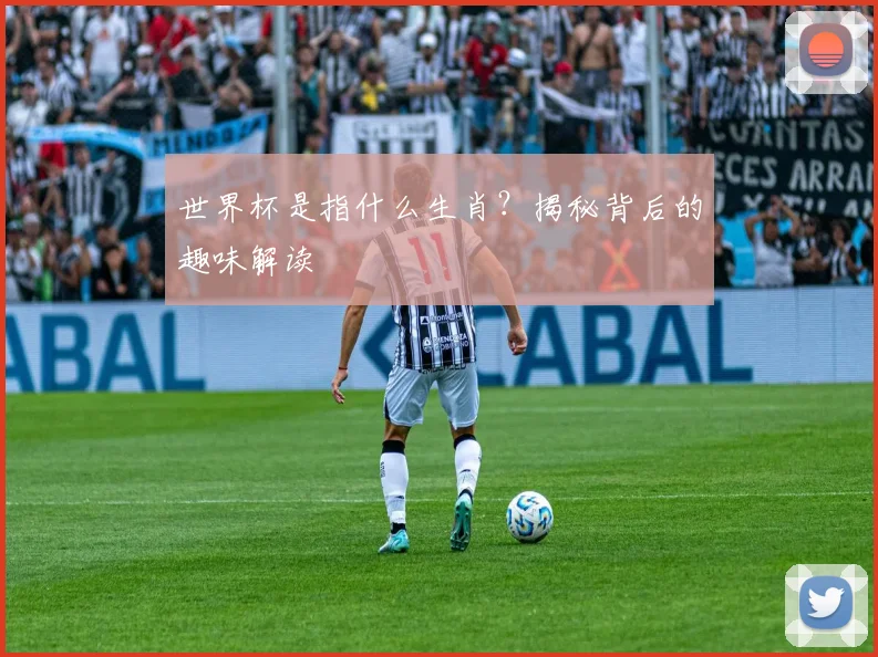 世界杯是指什么生肖？揭秘背后的趣味解读