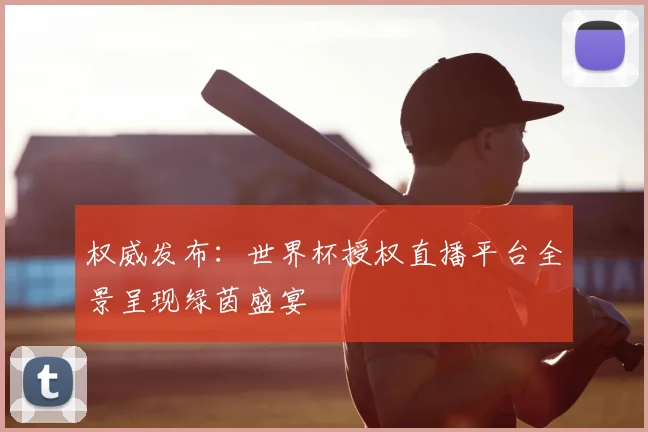 权威发布:世界杯授权直播平台全景呈现绿茵盛宴