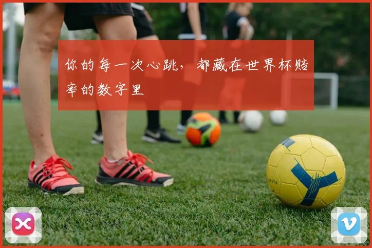 你的每一次心跳，都藏在世界杯赔率的数字里