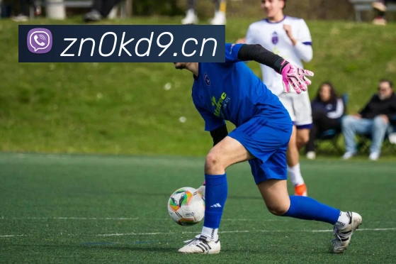 mksports网站APP 高清赛事图
